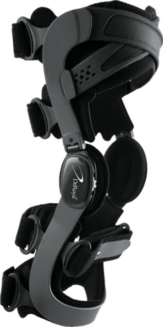 Knee Brace