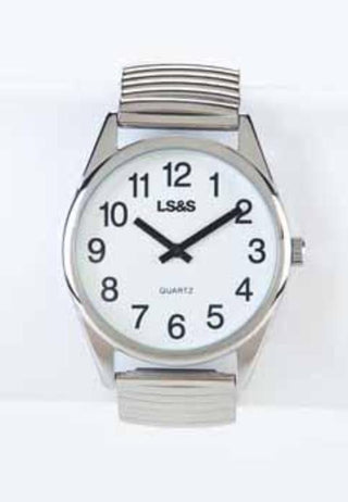 Low Vision Watch