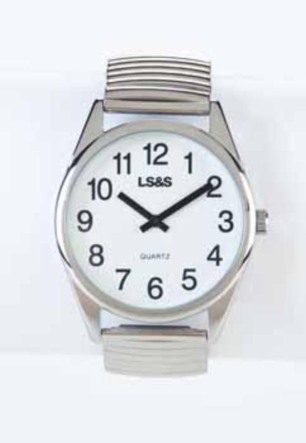 Low Vision Watch