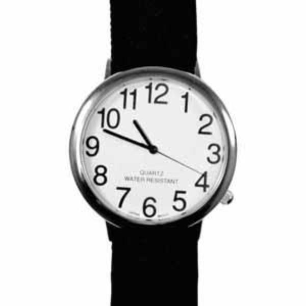  Low Vision 2" Watch 