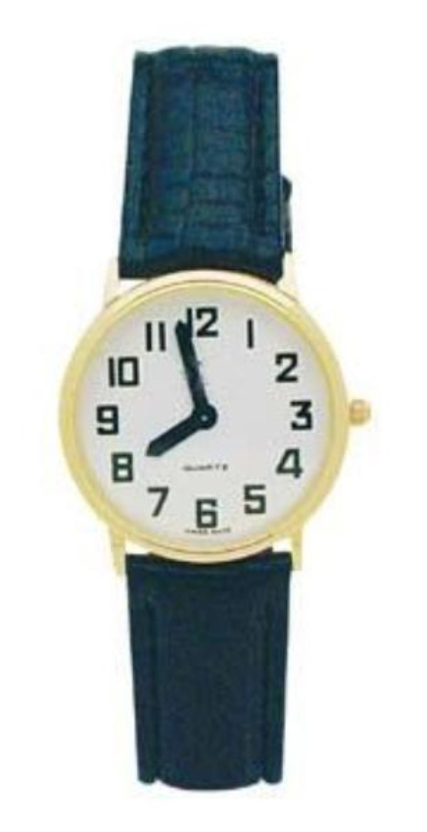 Men's Montiel Low Vision Watch