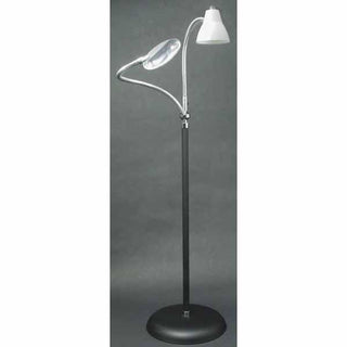Big Eye Two Arm Floor Lamp