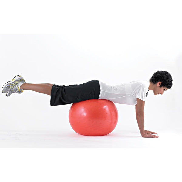 Thera-Band Pro Series SCP Balls Ball, 33" (85cm), Silver - 32289