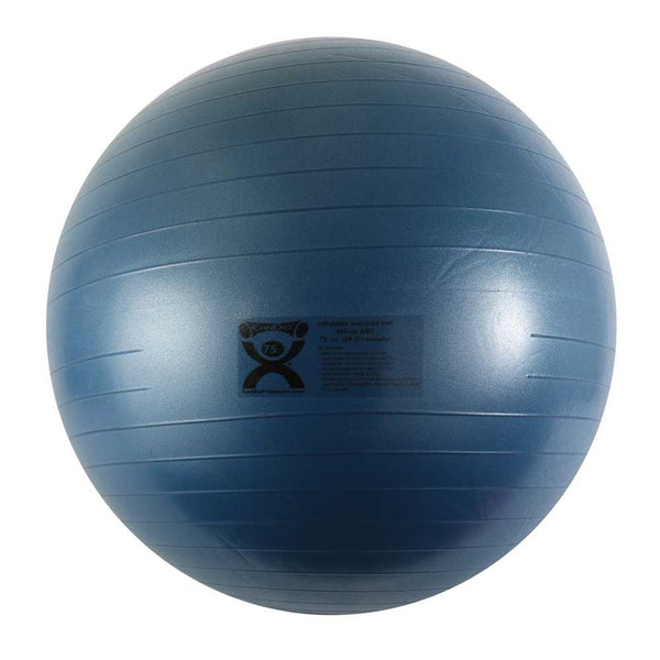 CanDo Inflatable Exercise Balls CanDo Exercise Ball, Silver - 33110