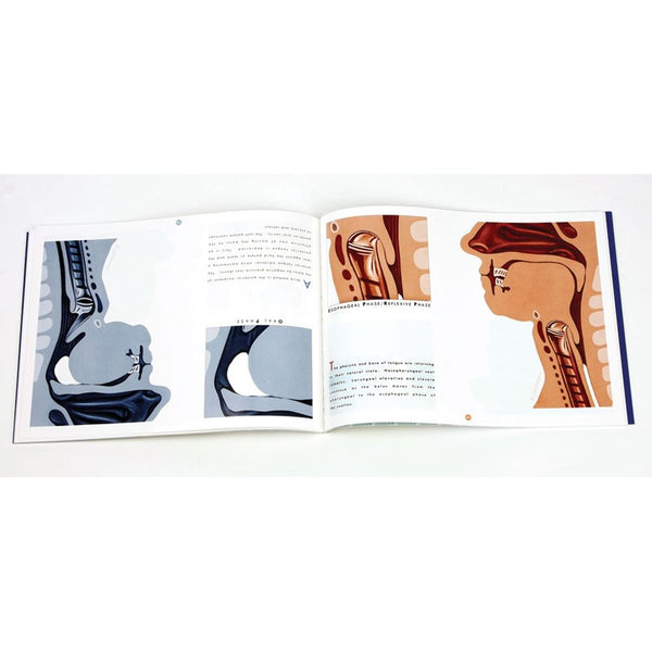 Follow the Swallow Follow the Swallow - 888335