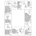 Swallowing Images Charts Swallowing Images Charts 1, Spanish, pk/10 - 88841001