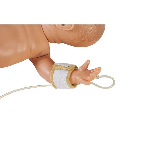 AliStrap Soft AliStrap Soft, 2"W x 30'L - 930163