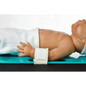 Alimed Arista Baby Board Straps Arista Baby Board Straps - 98CLA6-18