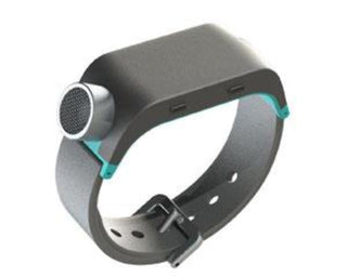 Mobility Guide and Smart Watch