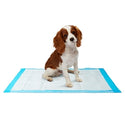Medline Dr. Dunley Dog and Puppy Training Pads - Dr. Dunley Dog and Puppy Training Pads, 17" x 24" - DDPAD1724