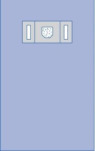 Medline Full-Body Eye Surgical Drape with Incise and Pouch - Full-Body Eye Drape with Incise and Pouch, Sterile - DYNJP7006