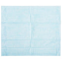 Medline Extrasorbs Breathable Drypad Underpads - Extrasorbs B Disposable Drypad Underpads, 30" x 36" - EXTRASRB3036B