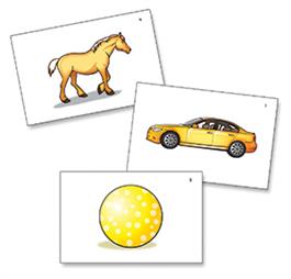 Edmark Reading Program: Level 1 – Second Edition, Picture Match Cards Edmark