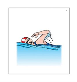 Environmental Print Response Cards 