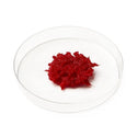 Medline MedlineUNITE ACTISTIM Demineralized Fiber Putty - MedlineUnite Actistim Demineralized Fiber Putty Graft, 1 cc - MDBM1010