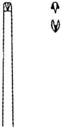 Medline Potts-Smith Tissue Forceps - Potts-Smith Tissue Forceps, Fine Serrated 1 x 2 Teeth, 12" - MDS1012630