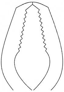 Medline Lane Bone Holding Forceps - FORCEP, BONE HOLDING, LANE, W / RATCHET, 17" - MDS3238445