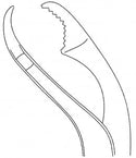 Medline Verbrugge Bone Holding Forceps - FORCEP, ORTHO, VERBRUGGE, 12MM, 11" - MDS3239527