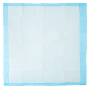 Medline Disposable Underpads - Disposable Economy Underpads, 30" x 30" - MSCB281245LB