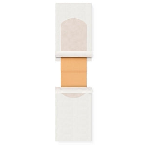 Medline Quick Strip Plastic Adhesive Bandages - Quick Strip Plastic Sterile Adhesive Bandages, 1" x 3" - NON25600QS