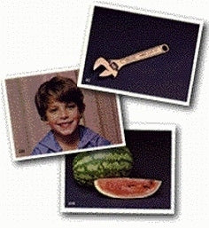 Library of Vocabulary Photographs–Second Edition: Fruits, Nuts and Vegetables Kit