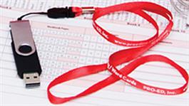 Reading Milestones–Fourth Edition, Level 1 (Red) Reproducible Materials Flash Drive 