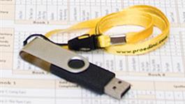 Reading Milestones–Fourth Edition, Level 3 (Yellow) Reproducible Materials Flash Drive 