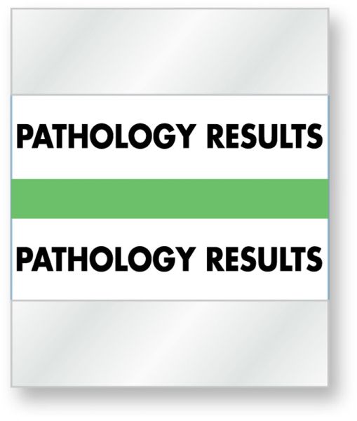 Medical Use Labels - Color-Coded Chart Divider Tabs - Green -
