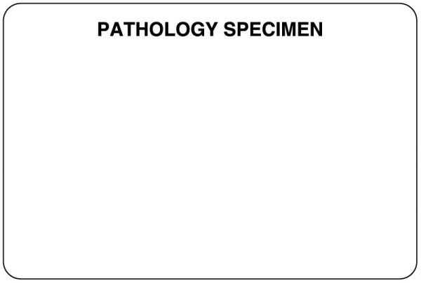 Medical Use Labels - Pathology Labels, 3