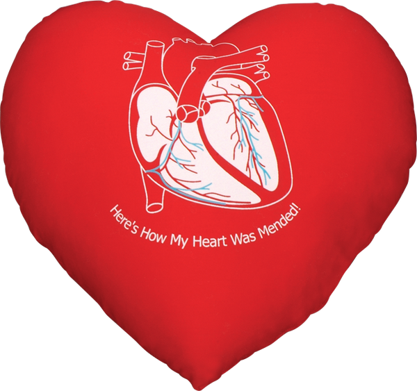 Cardiac Cushion